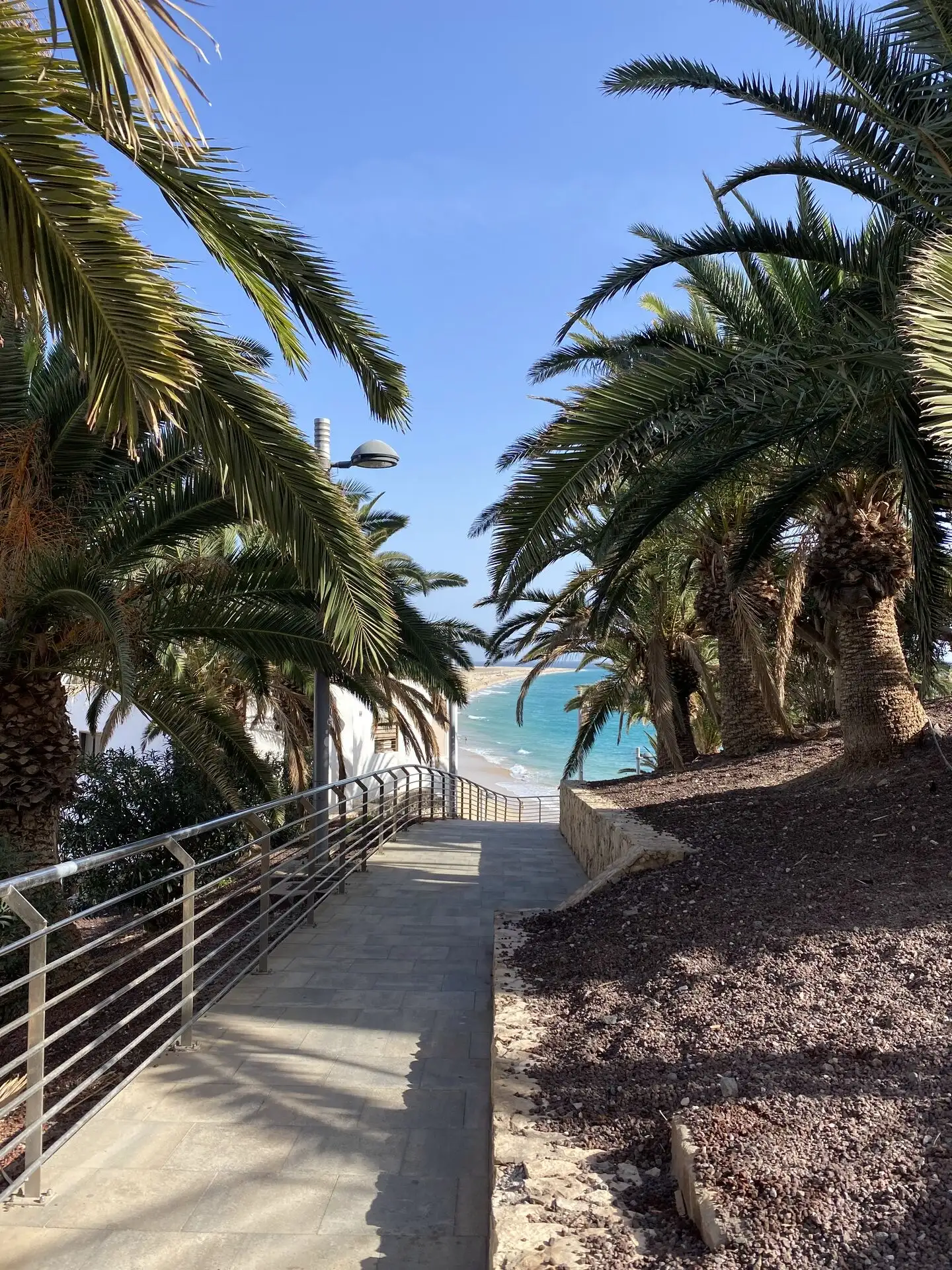 What to do in Fuerteventura Morro Jable