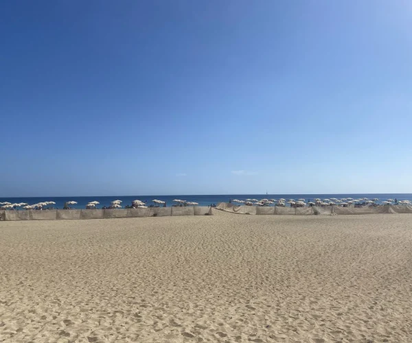 Do Fuerteventura