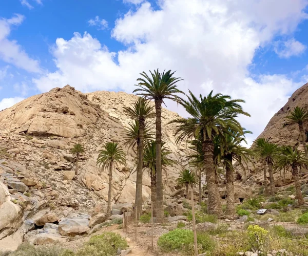 Fuerteventura Guide Arco de Las Penitas