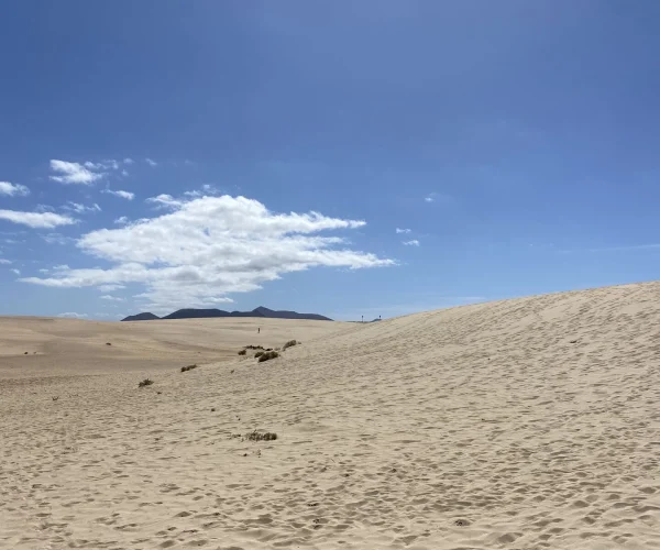 Fuerteventura-Guide-Corralejo-Sand-Dunes