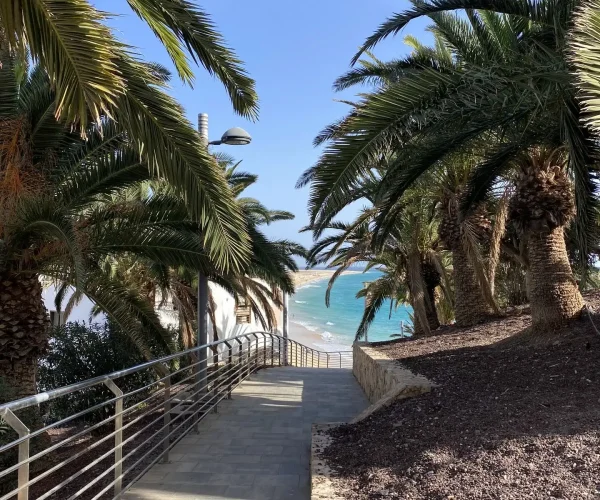 What to do in Fuerteventura Morro Jable