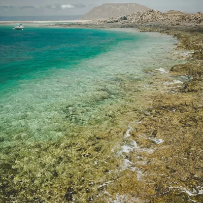 wingfoil school fuerteventura